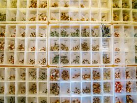 conteneurs pour cultures agricoles